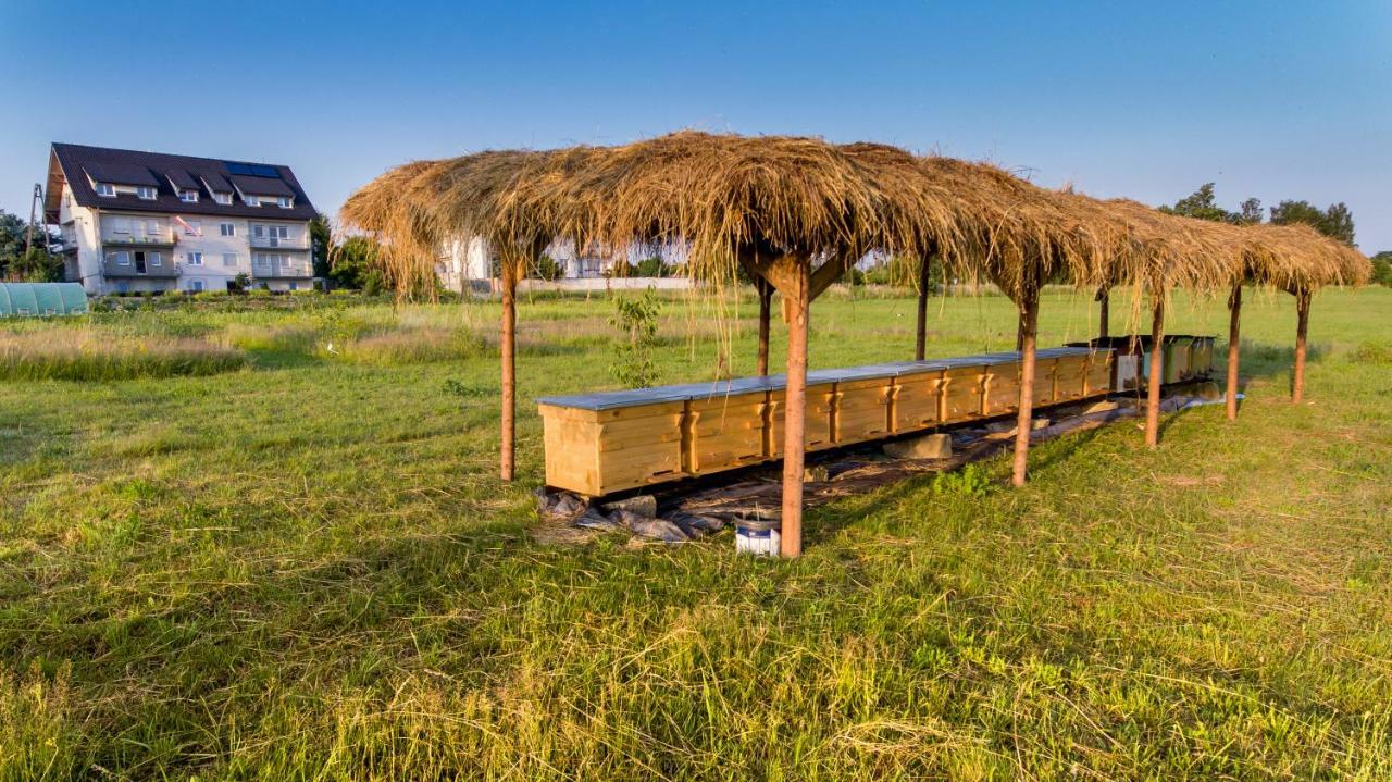Agroturystyka Sikorki Lubomierz  Exterior photo